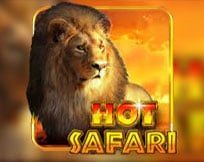Hot Safari Hot Safari