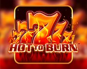 Hot to Burn Hot to Burn