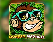 Monkey Madness Monkey Madness