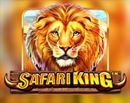 Safari King Safari King