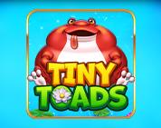 Tiny Toads Tiny Toads