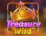 Treasure Wild Treasure Wild