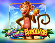 Wild Wild Bananas Wild Wild Bananas