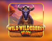 Wild Wildebeest Wins Wild Wildebeest Wins