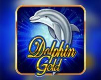 Dolphin Gold Dolphin Gold