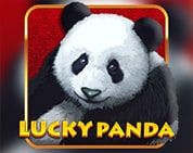 Lucky Panda H5 Lucky Panda H5