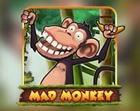 Mad Monkey Mad Monkey
